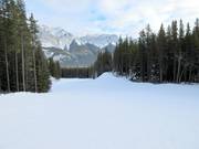 Discesa facile Chinook