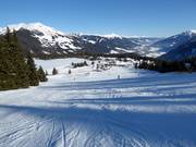 Pista n. 84 Filzstein