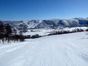 Pista Steinspretten n. 12 (Gullsteinhovda)