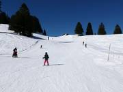 Piste facili presso la sciovia Madils