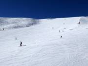 Pista larga Cinque Dita