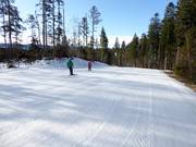 Pista perfettamente preparata Prack