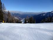 Vista da Malghet Aut sulla Val di Sole