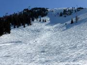 Pista di gobbe alla Hohe Salve