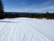 Pista molto facile Dalen