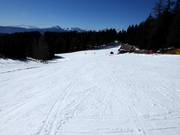 Discesa nel bosco dal Piffing