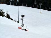 Cannone da neve al Cypress Mountain
