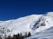 Pendii di neve fresca Mottolino