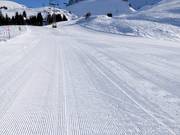 Preparazione perfetta delle piste