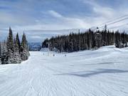 Pista facile Aunt Gladys