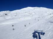 Piste a Tonale