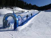 Leprotto - Tapis roulant/Tappeto Magico