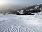 Pista perfettamente preparata a Flims