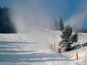 Discesa a valle innevata artificialmente