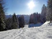 Discesa per famiglie