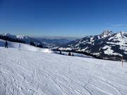 Facile discesa femminile con vista sul Wendelstein
