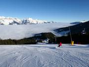 Discesa standard FIS