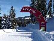 Suggerimento per i più piccoli 