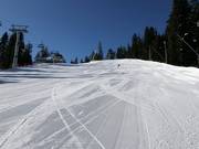 Pista Martinovi baraki 1