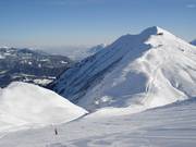 Pista transfrontaliera con vista sul Fellhorn