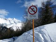 Vietato attraversare il bosco