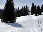 Birrmoos - Skilift a piattello