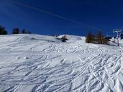 Pendii di neve fresca al Rosskopf
