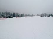 Pista per principianti presso lo skilift Donariè