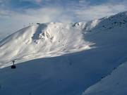 Infinita distese di neve fresca