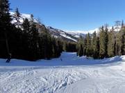 Discesa a valle Schöneben