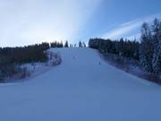 Discesa Coppa del Mondo Hannes Trinkl