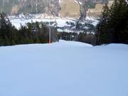 Pista FIS Standard Kohlerhang