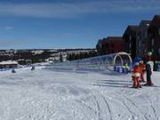 Frontyard A - Tapis roulant/Tappeto Magico con galleria