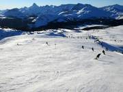 Discesa facile n. 34 Green Run