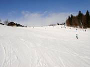 Discesa facile presso lo skilift Almwiesenlift