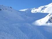 Tracce nella neve fresca