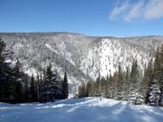 Pista di gobbe con Alder Point