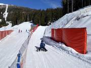 Pista da slittino (Brimi Winter Run) al Gitschberg