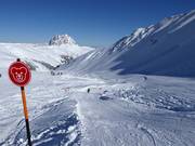 Kogel-Mogel percorso ondulato