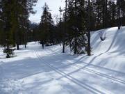 Pista da fondo in Tandådalen