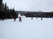 Area principianti Sunny Side con tappeti mobili