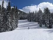 Pista presso la seggiovia Crest 6