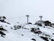 North Perisher T-Bar - Skilift con T-bar/ancora