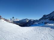 Pista difficile n. 62 Vitelli