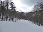 Facile pista di collegamento attraverso i boschi
