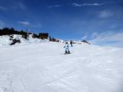 Pista facile sull'altopiano Feuerberg