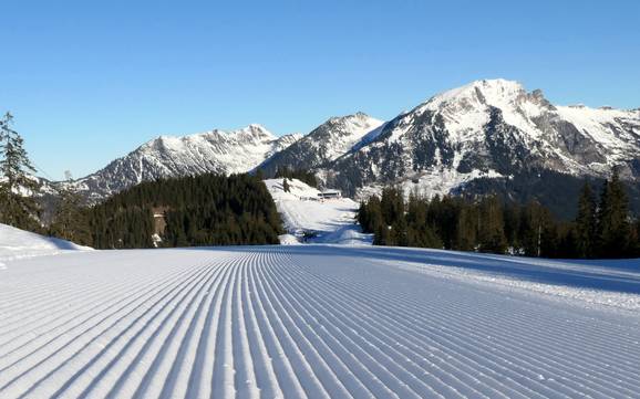 Preparazione delle piste Dachstein-Salzkammergut – Preparazione delle piste Dachstein West - Gosau/Russbach/Annaberg