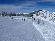 Facile discesa Weitmoos sulla Planai