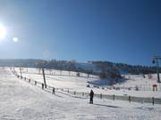 Unterer Wilddieblift 1 - Skilift a piattello