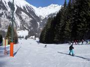 Pista facile presso la seggiovia Köfelelift I